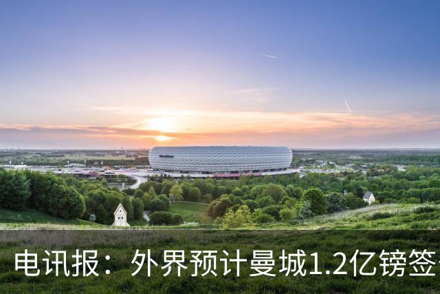电讯报：外界预计曼城1.2亿镑签安德森 担忧这一价格引发连锁反应